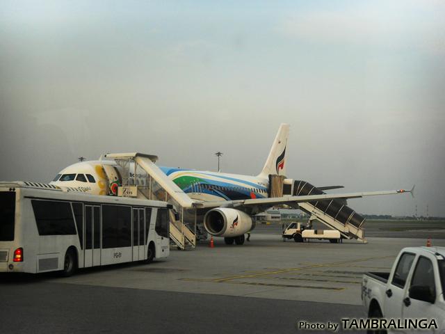 SDC11381.jpg
